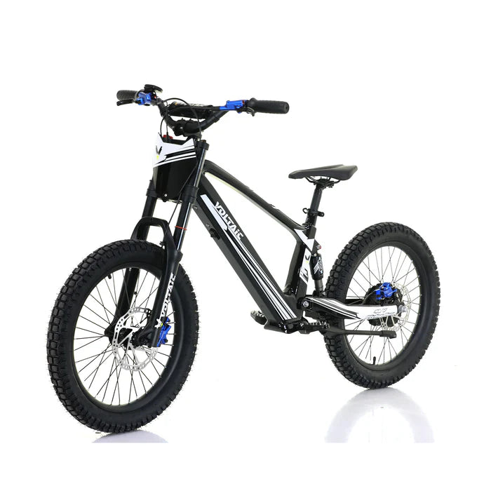 VOLTAIC FLYING FOX 20‘’48V