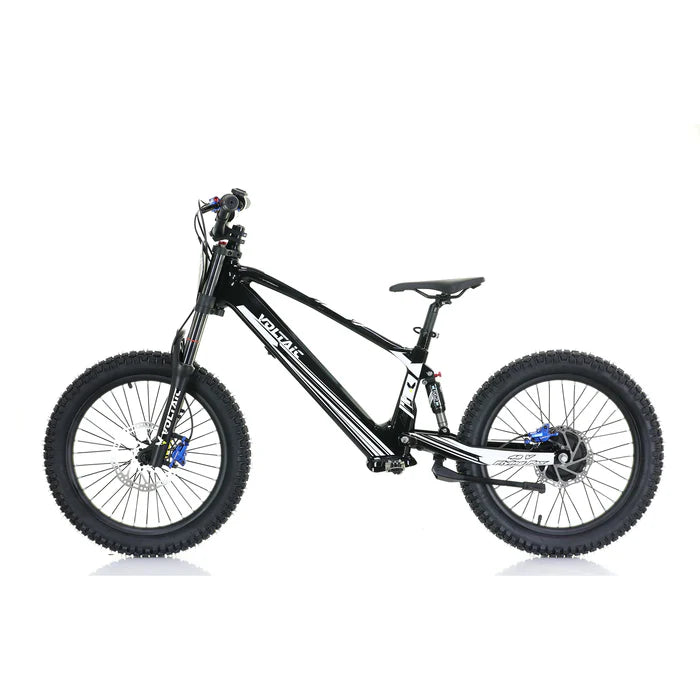 VOLTAIC FLYING FOX 20‘’48V