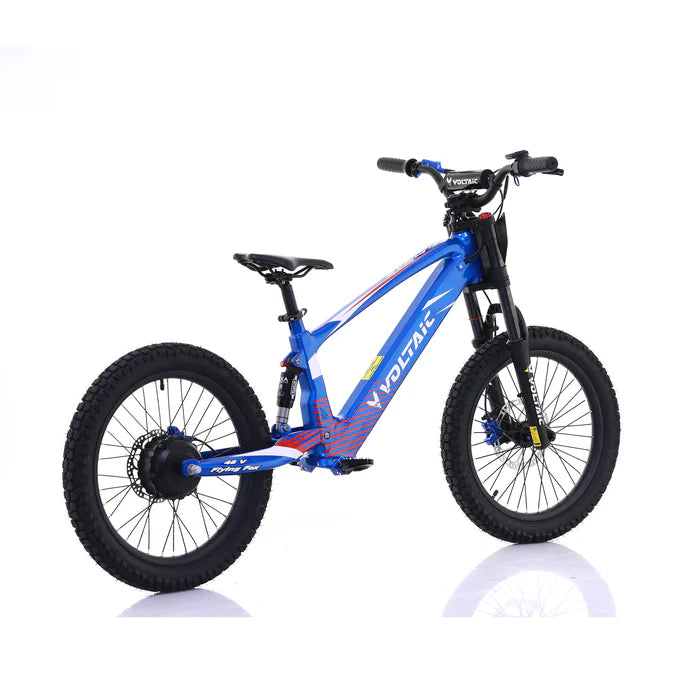 VOLTAIC FLYING FOX 20‘’48V