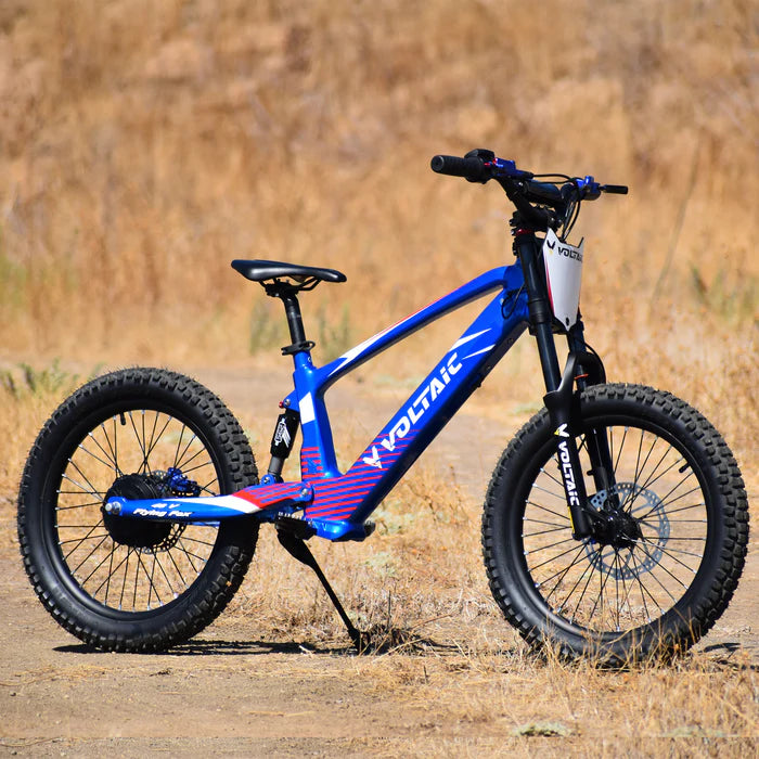 VOLTAIC FLYING FOX 20‘’48V