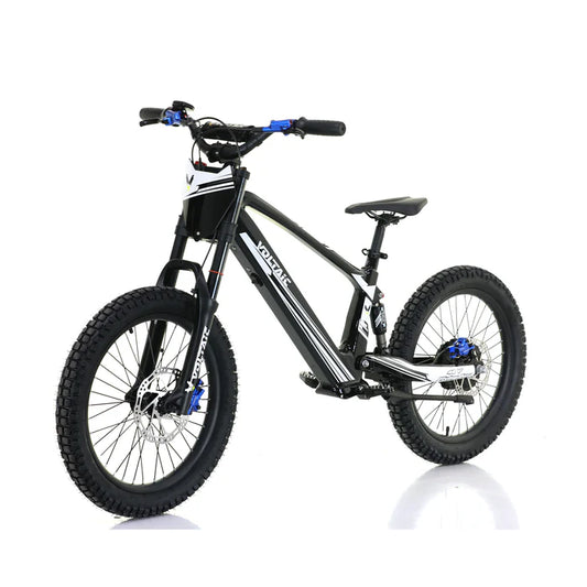 VOLTAIC FLYING FOX 20‘’48V
