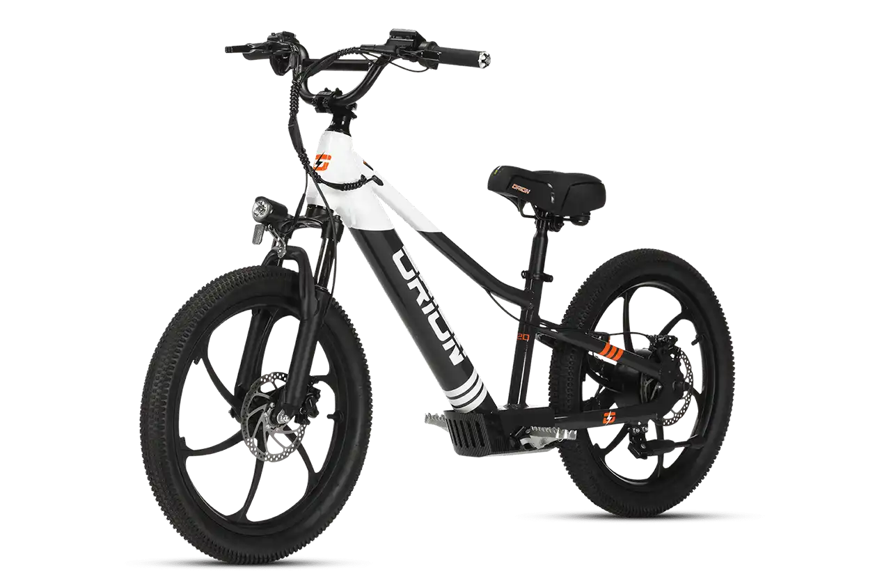 Orion e20x – 20″ Wheel 500W 48V – Deluxe Electric Balance Bike